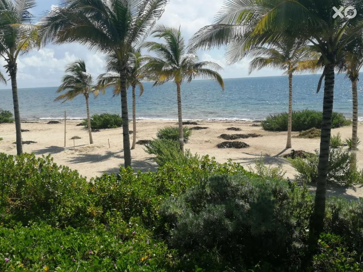 Haven Riviera Cancun Resort & Spa