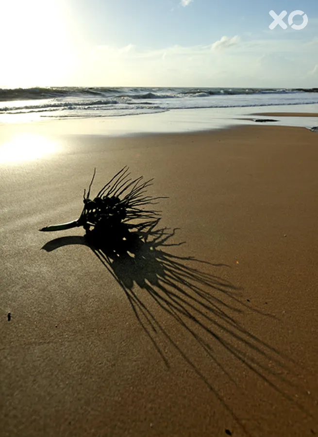 The Sands Khao Lak by Katathani