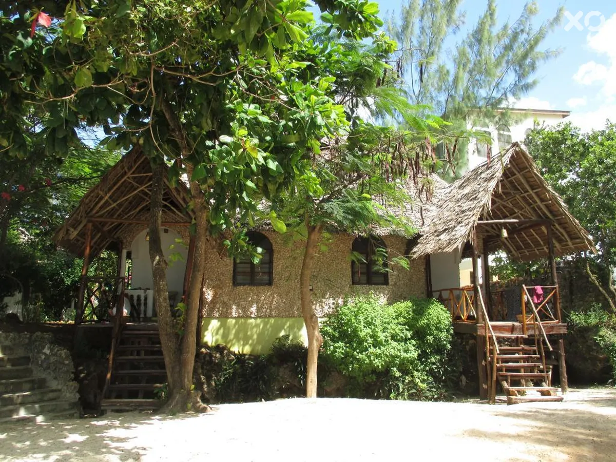 Sharazad Oasis