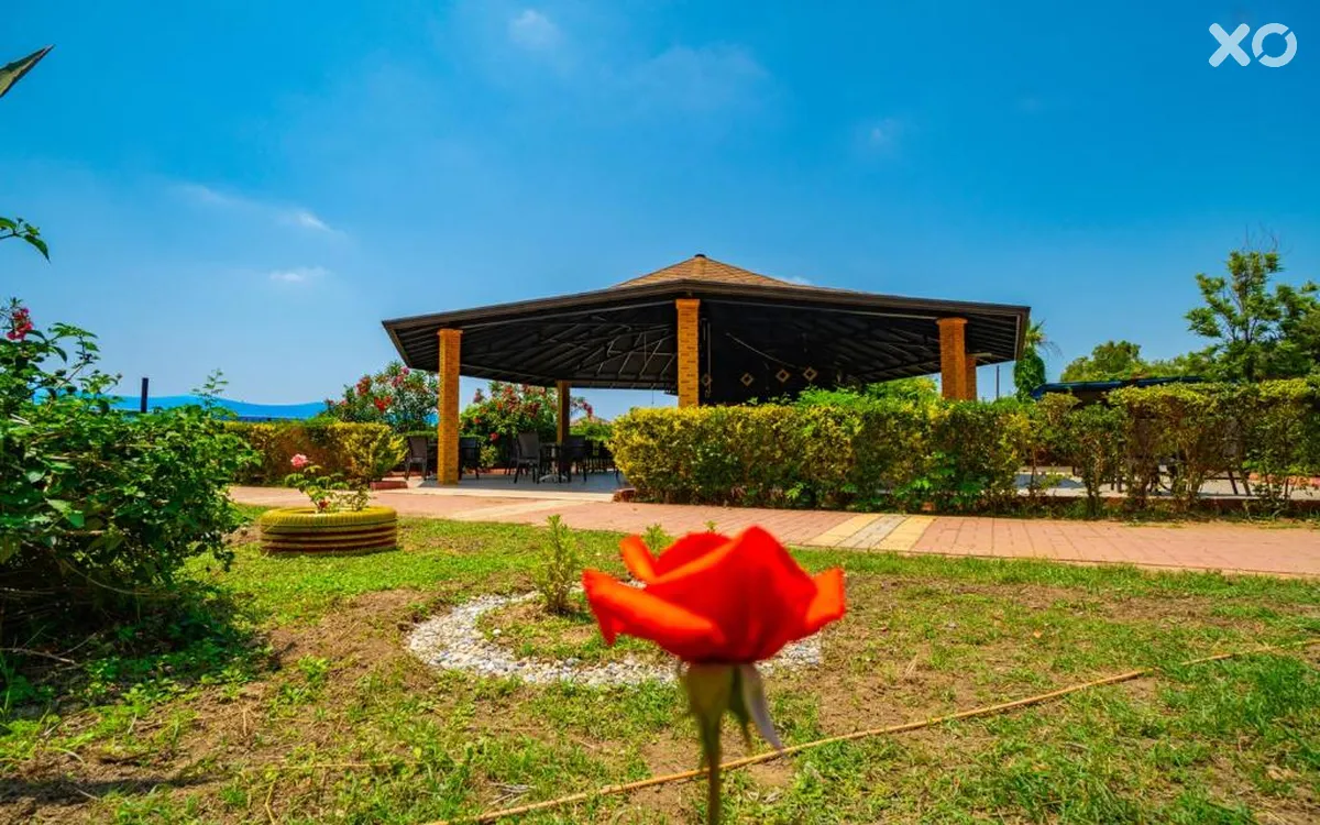 Clover Magic Garden Beach Hotel