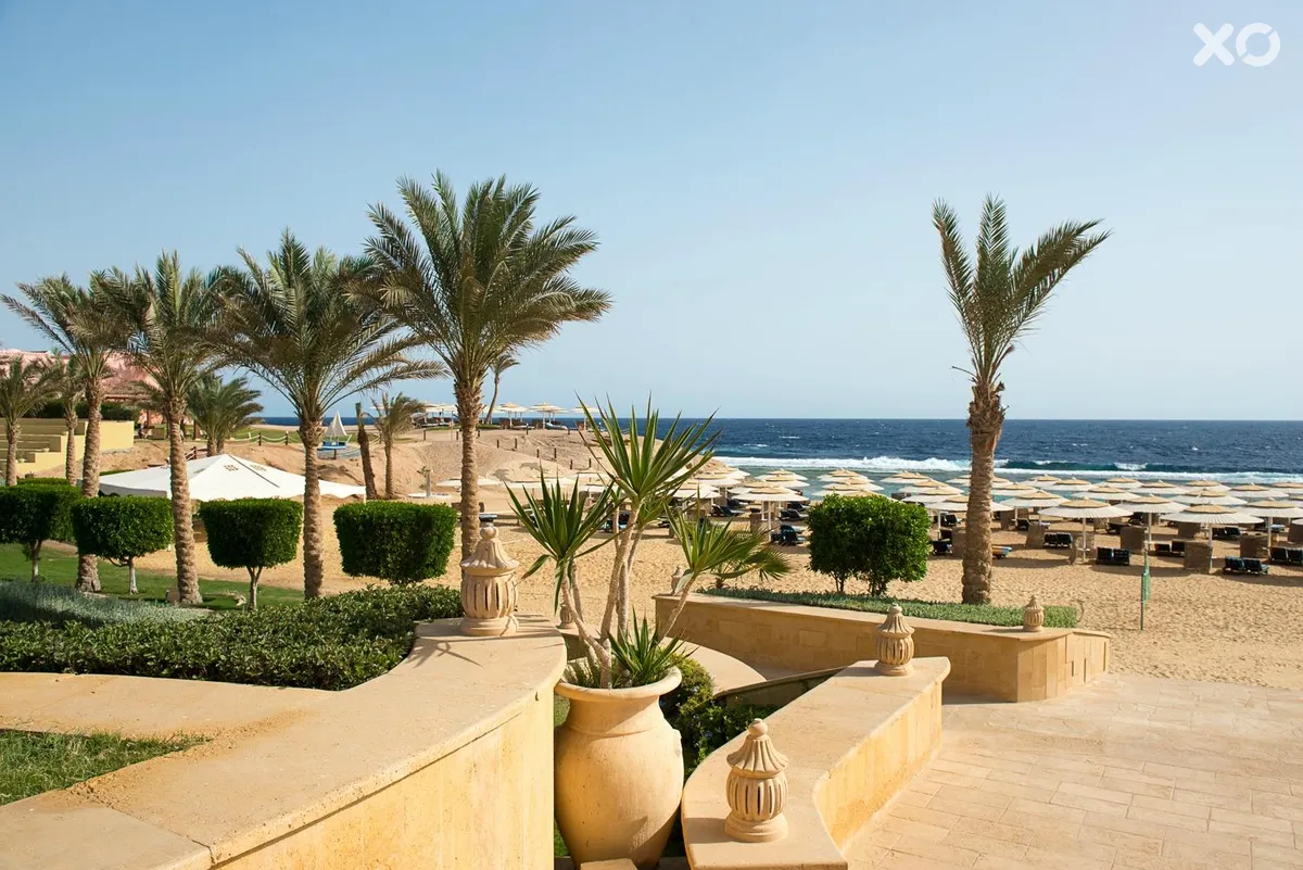 Solymar Reef Marsa