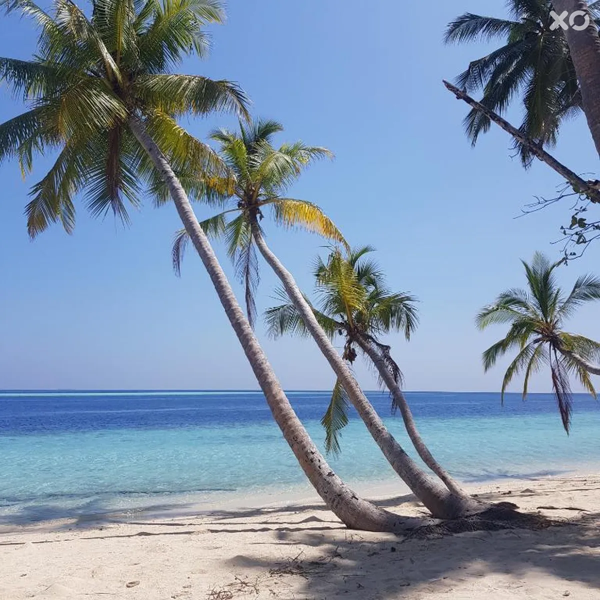 Vaali Beach & Dive Lodge