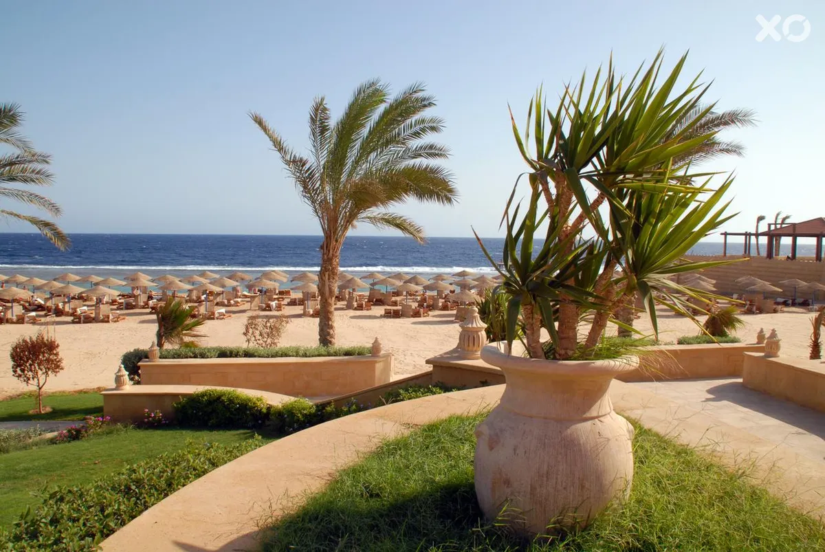 Solymar Reef Marsa