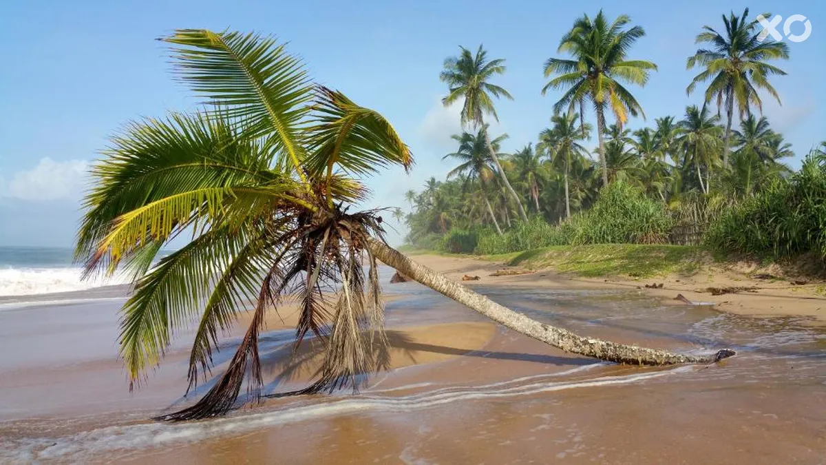 Lankavatara Ocean