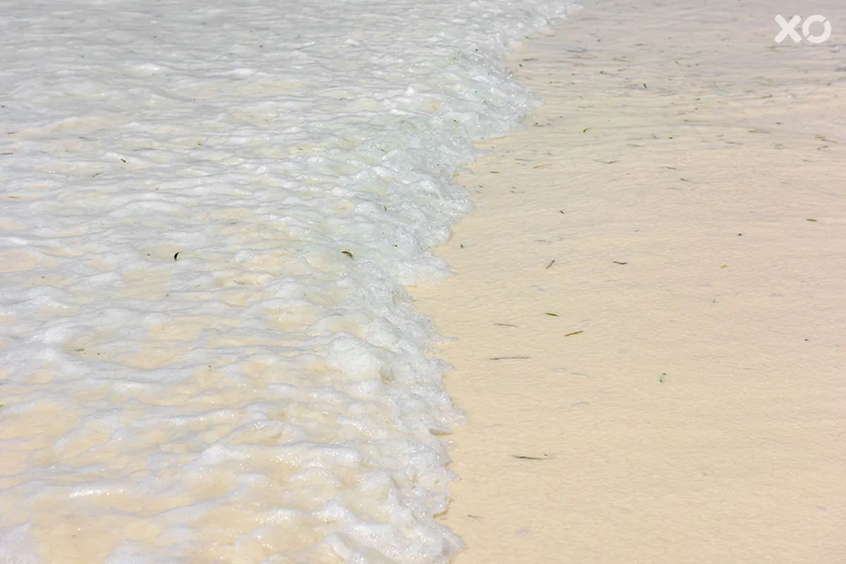 Hakuna Majiwe Beach Lodge Zanzibar