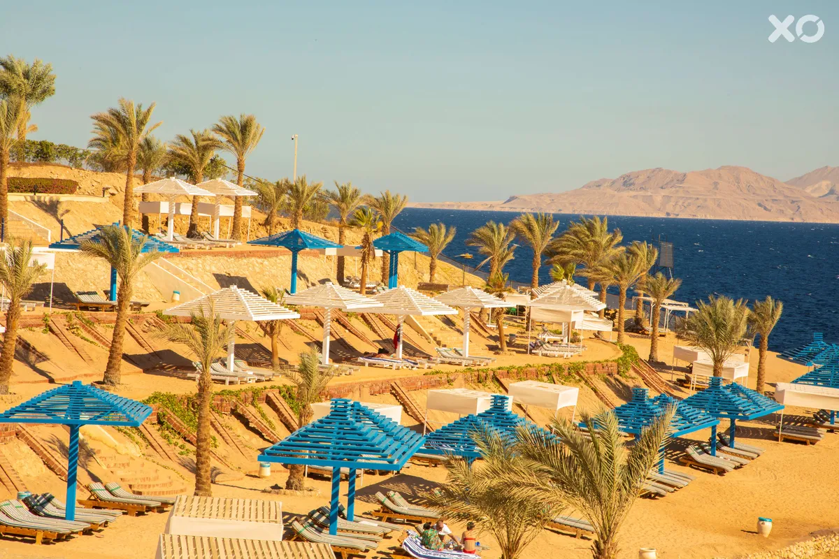 Grand Oasis Resort