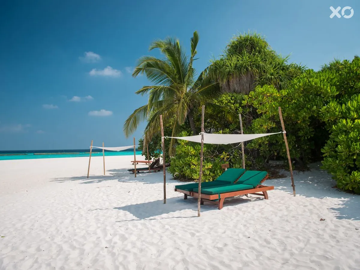 Coco Palm Dhuni Kolhu