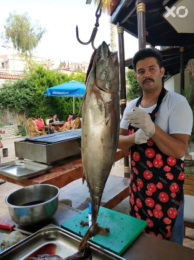 Altinsaray Hotel