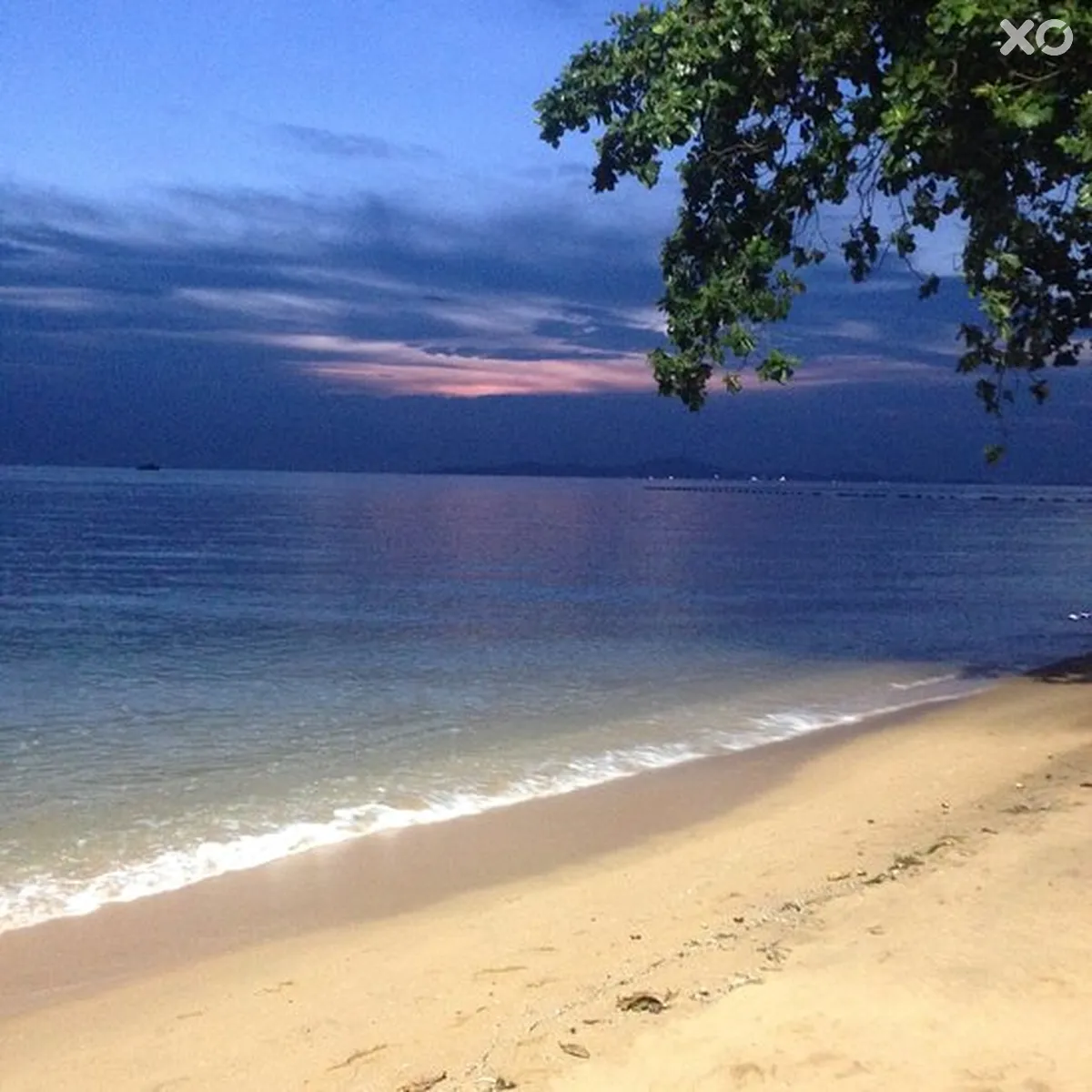 The Jomtien Twelve