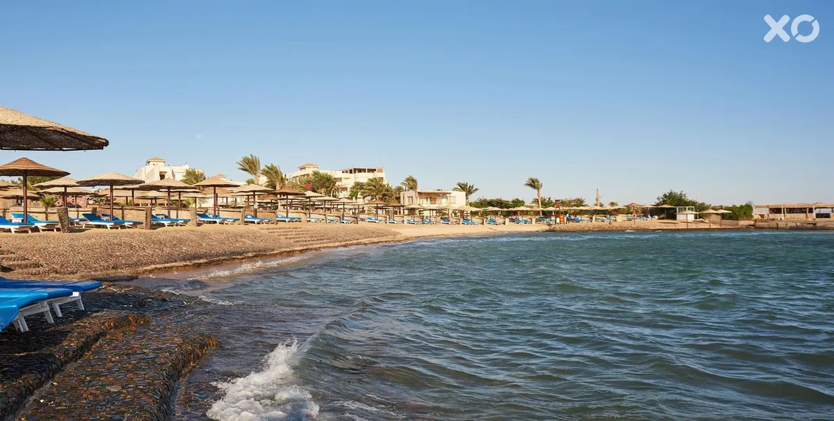 Sea Star Beau Rivage