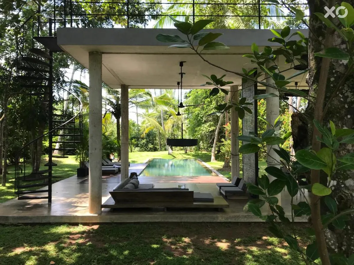 Kaju Green