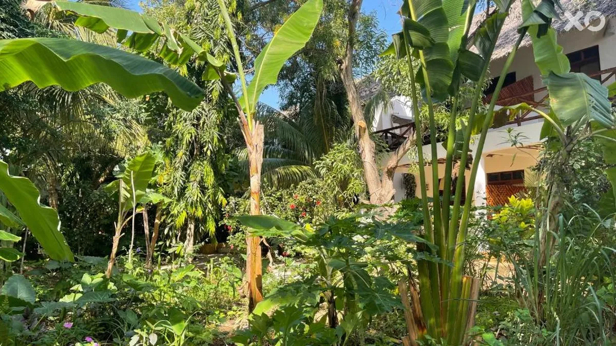 Atii Garden Bungalows