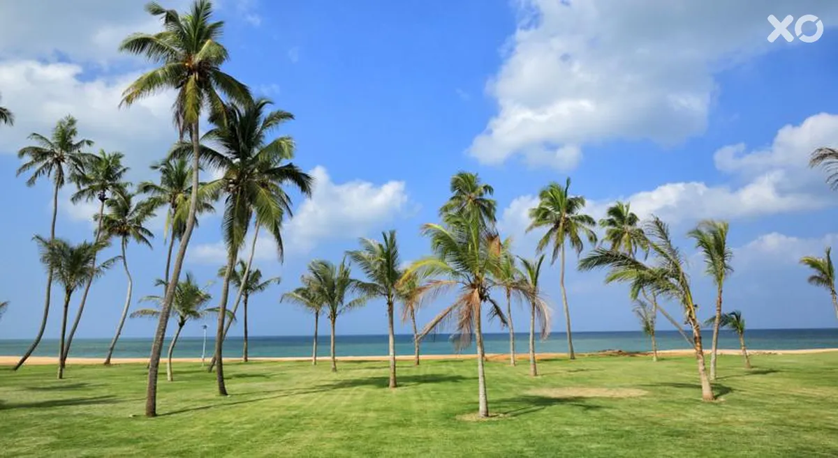 Anantaya Resort & Spa Chilaw