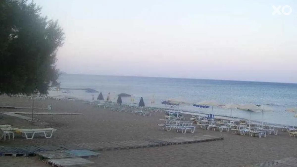 Stegna Star