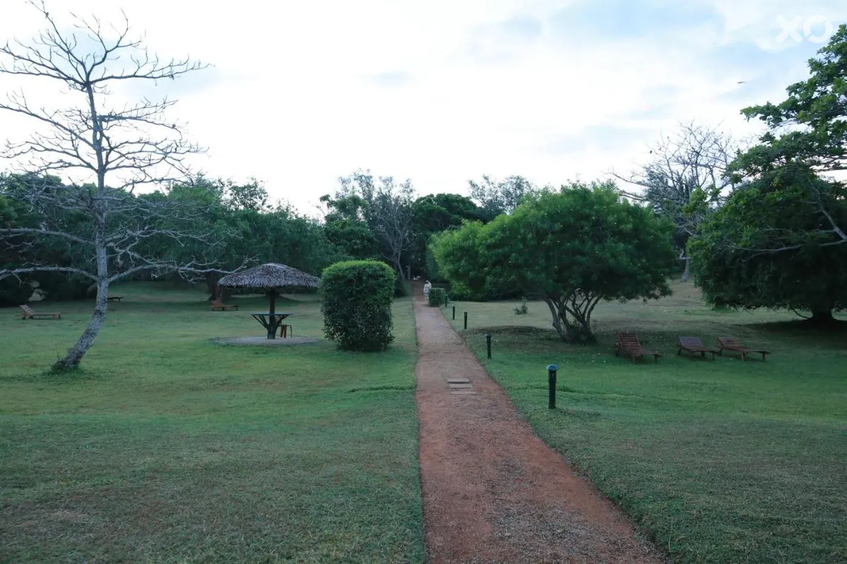 Oasis Ayurveda Beach Resort