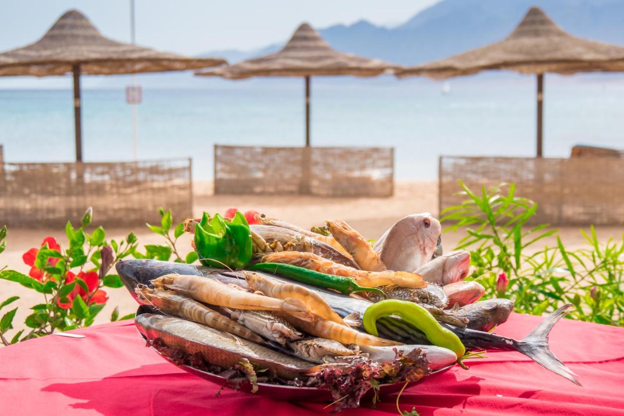 Dahab Lagoon Club & Resort