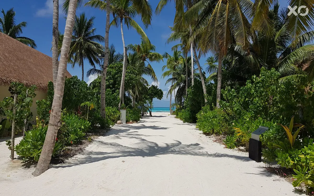 Cinnamon Velifushi Maldives