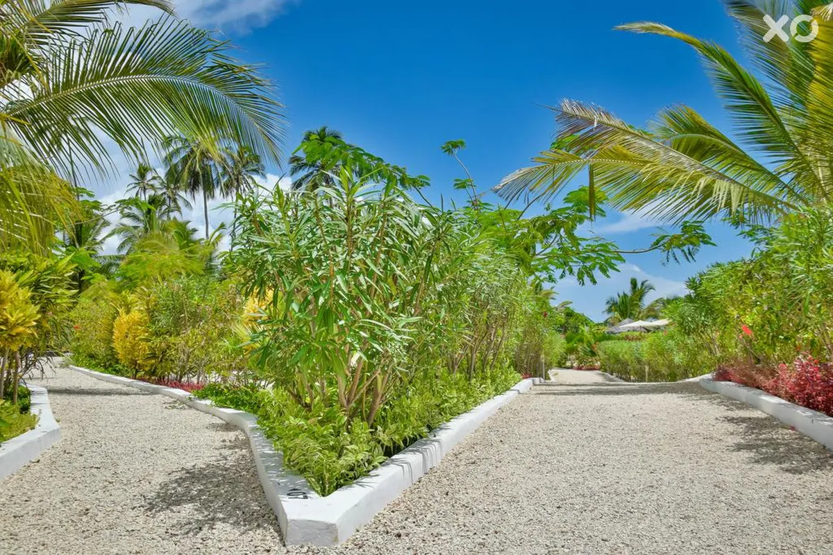 White Paradise Zanzibar