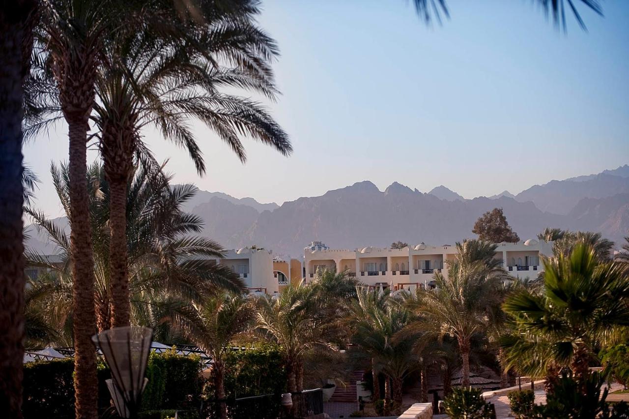 Reef Oasis Beach Resort