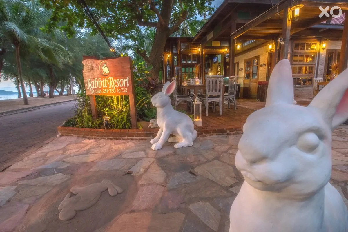 Rabbit Resort Pattaya