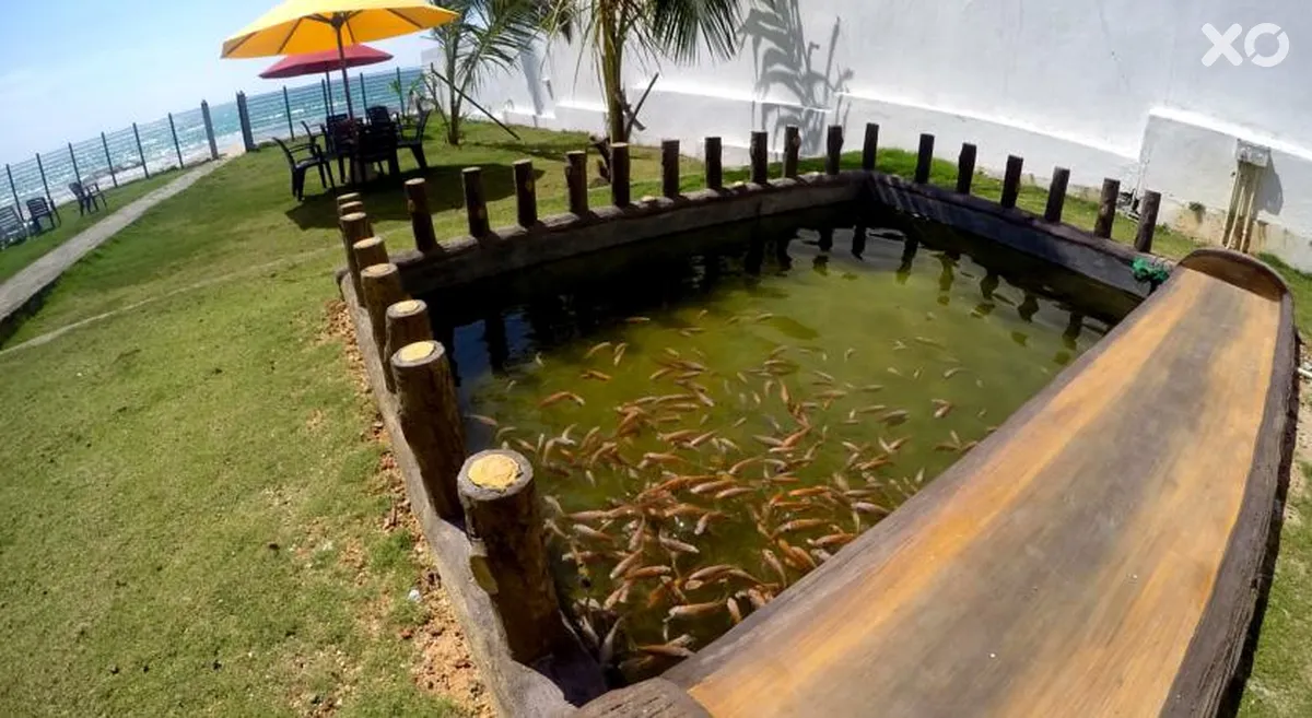 Ramon Beach Resort