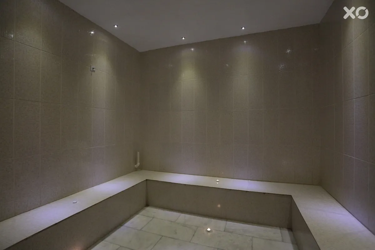 Alenz Suite