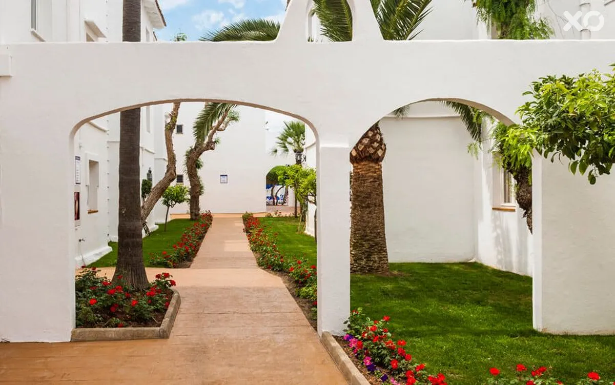 Globales Bouganvilla