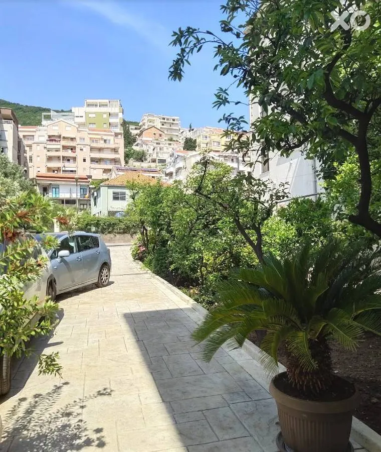 Salus Apartmani