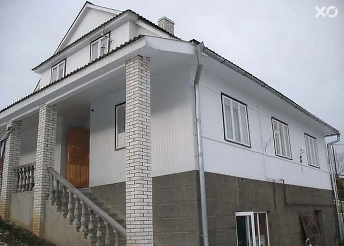Волошка карпатська