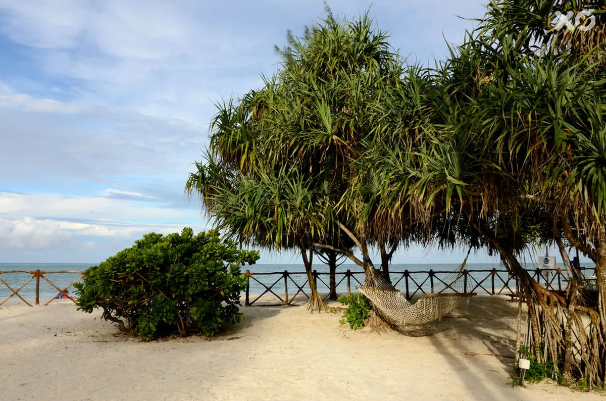 Ocean Paradise Resort