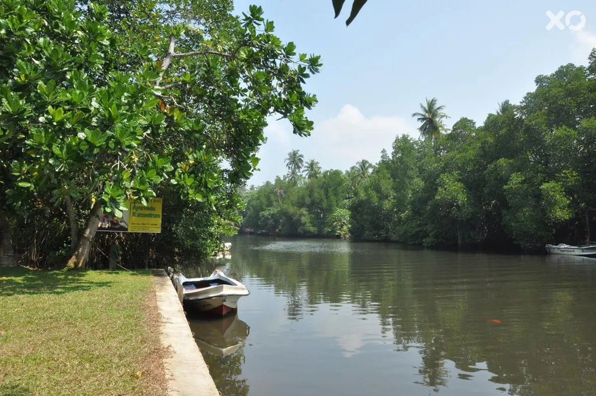 Muthumuni Ayurveda River Resort
