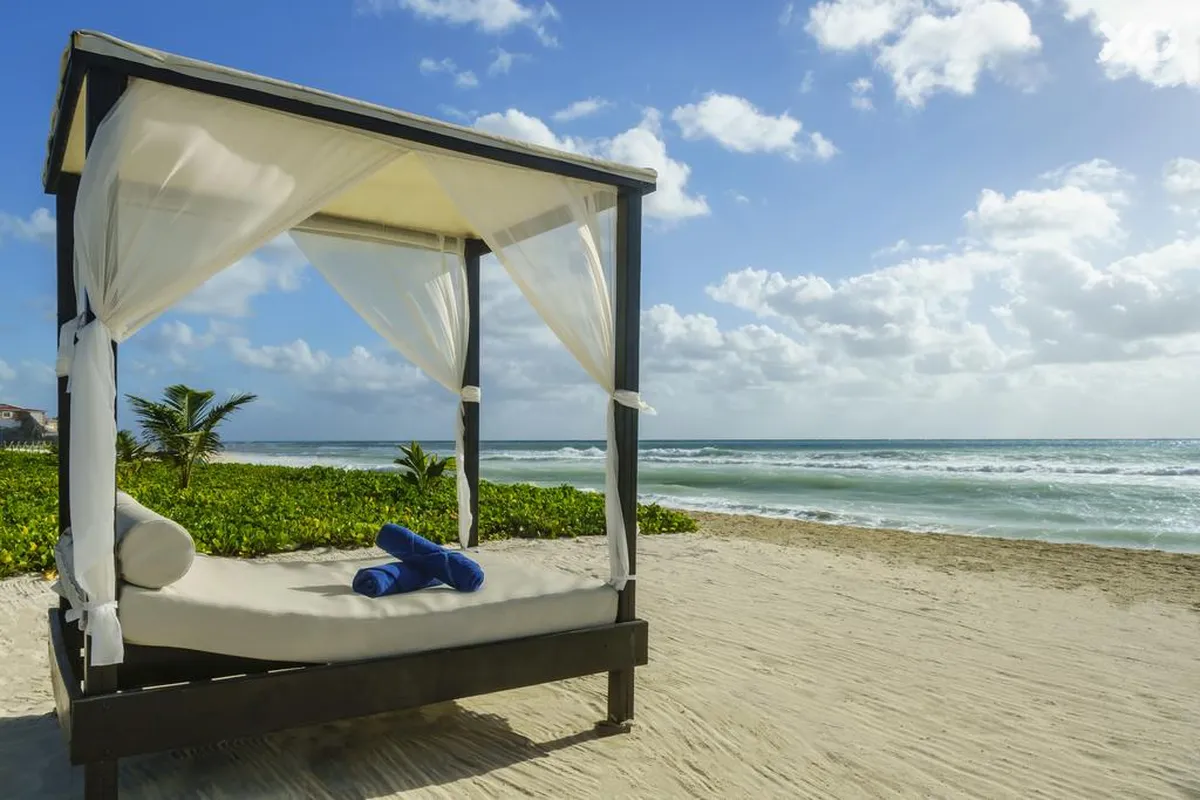 The Reef Playacar