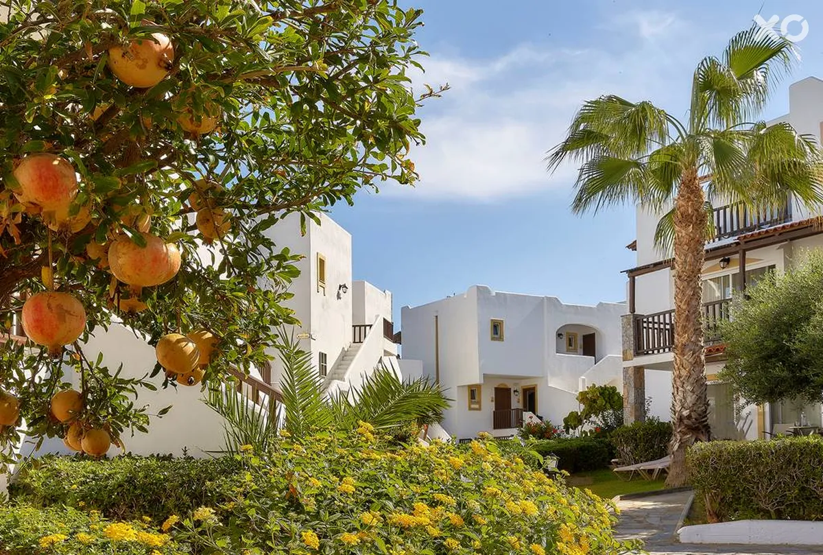 Alexander Beach Hotel & Village