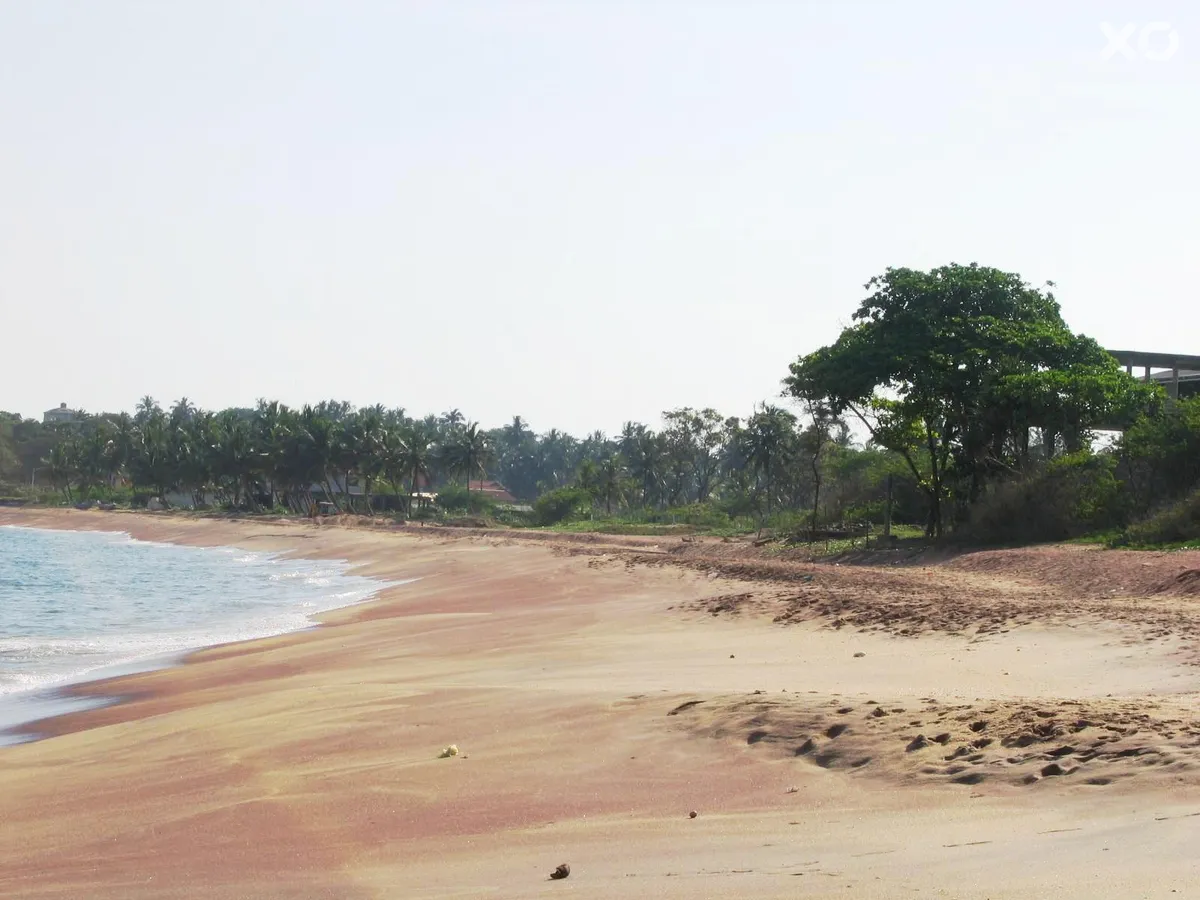 Peacock Beach Hotel