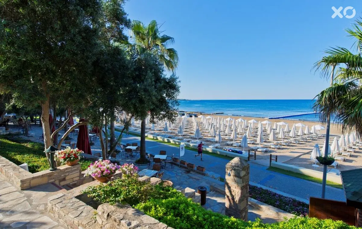 Barut Arum