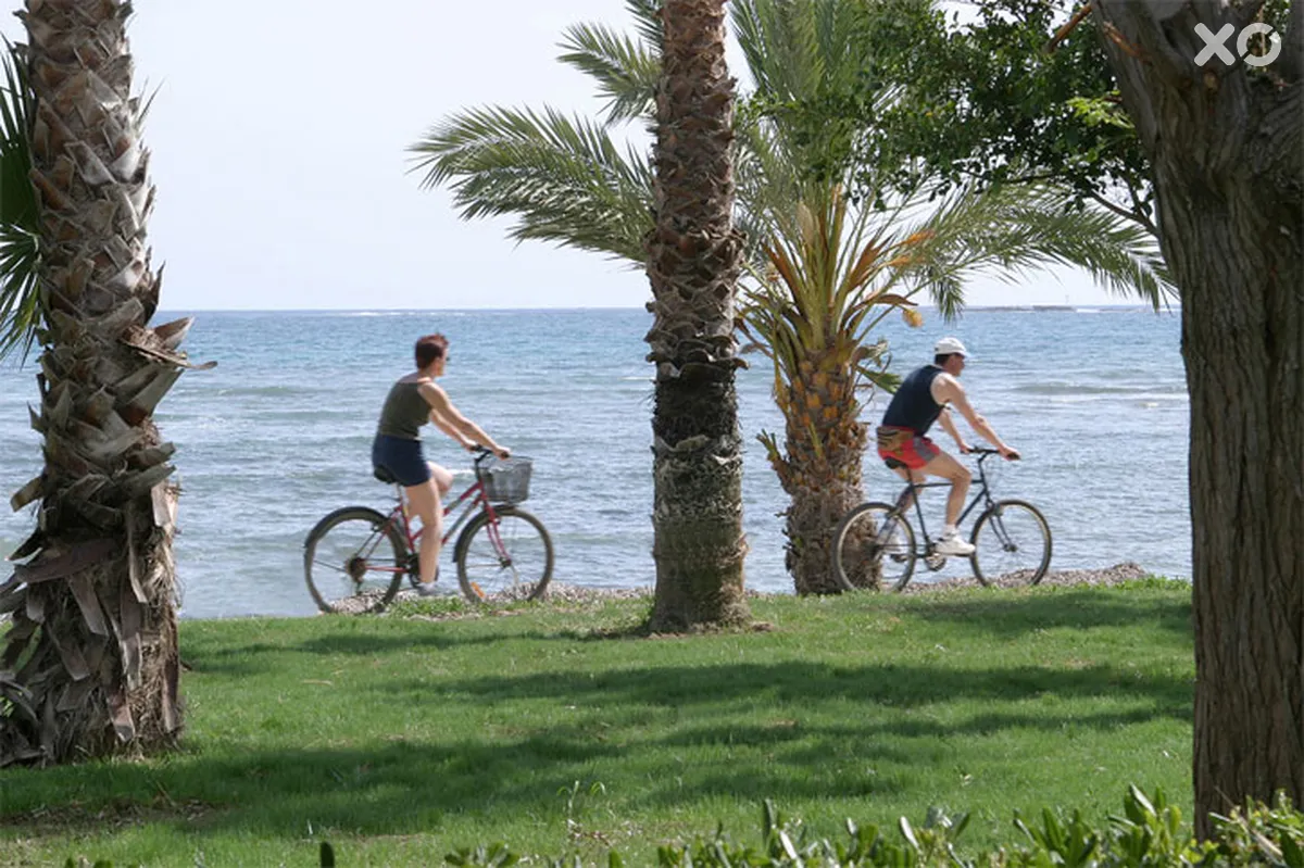 Louis Phaethon Beach