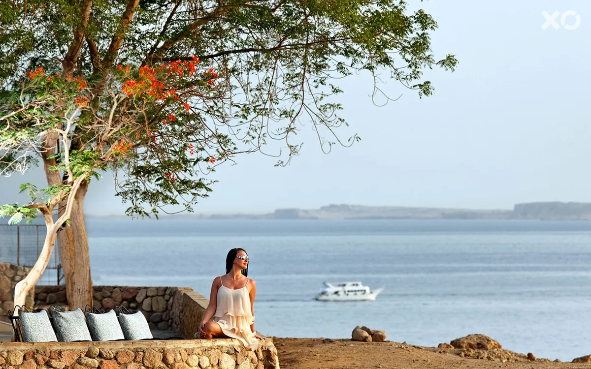 Albatros Sharm Resort