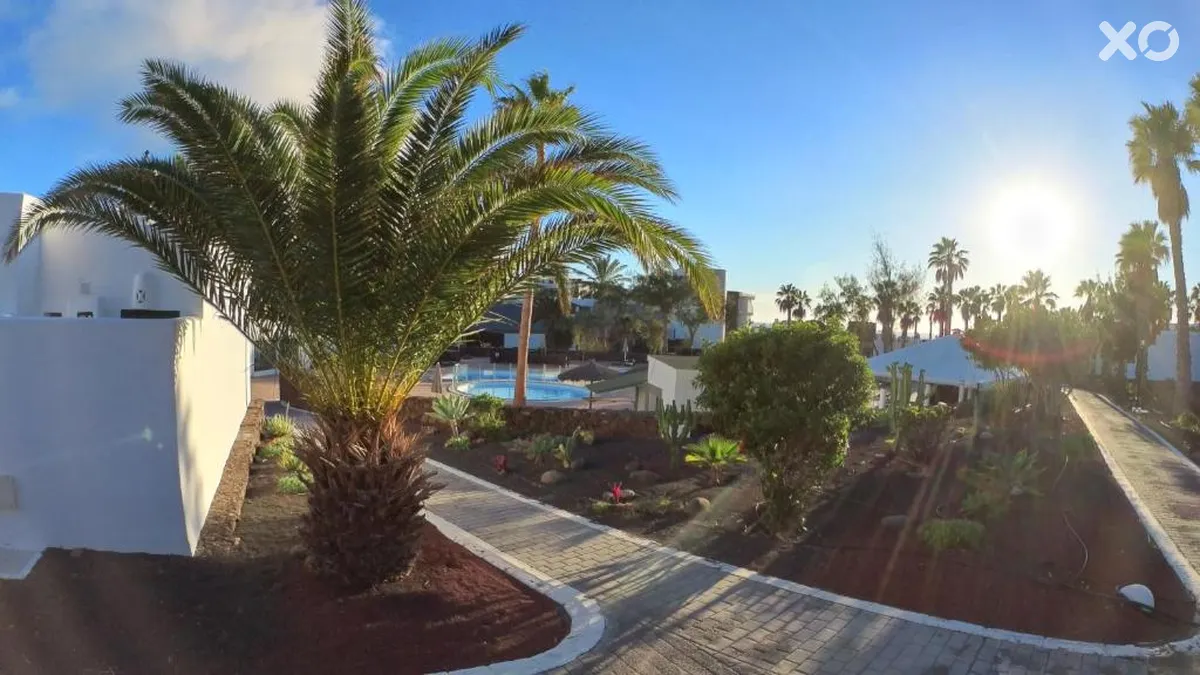 Palmeras Garden