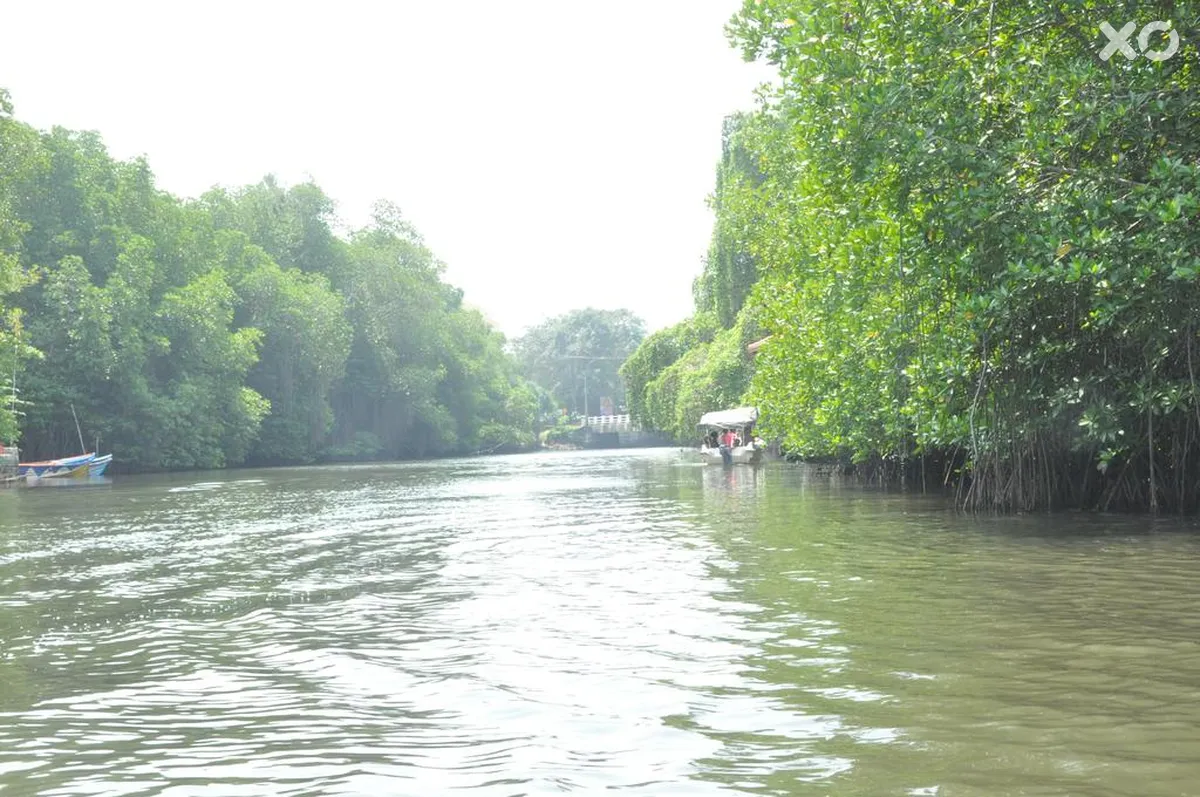 Muthumuni Ayurveda River Resort
