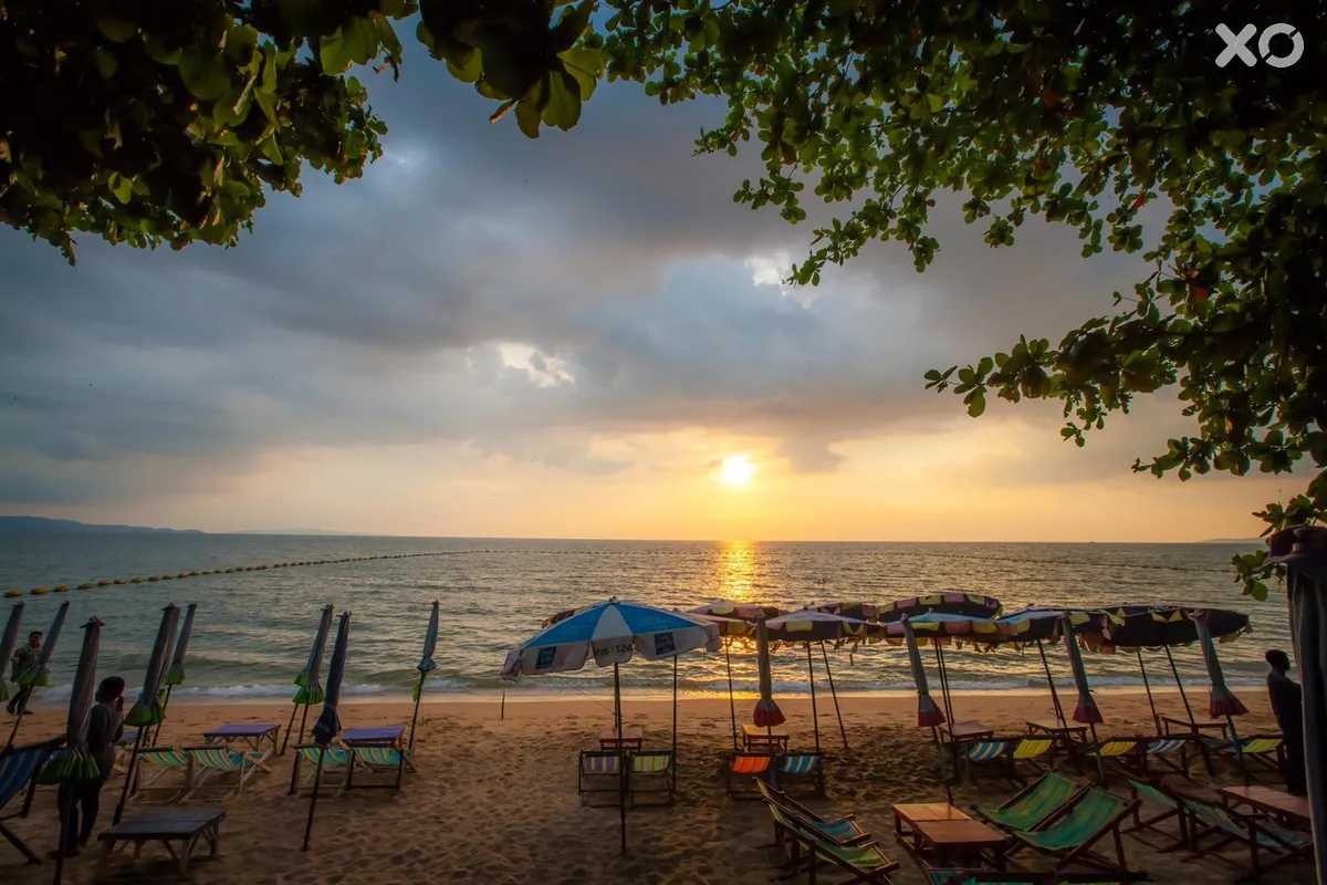 Natural Park Resort