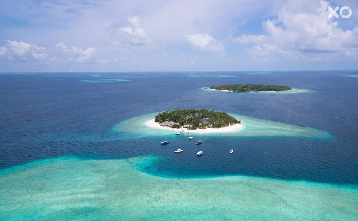 Malahini Kuda Bandos