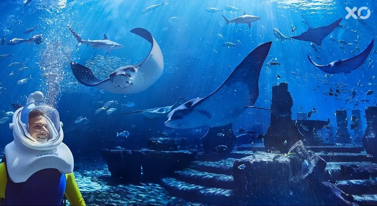 Atlantis The Palm