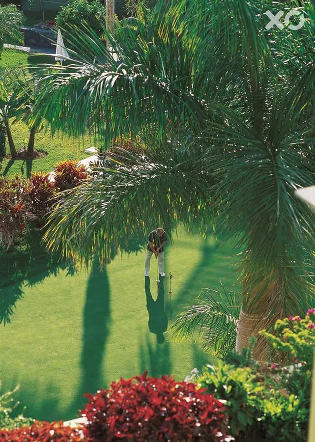 Jardines De Nivaria