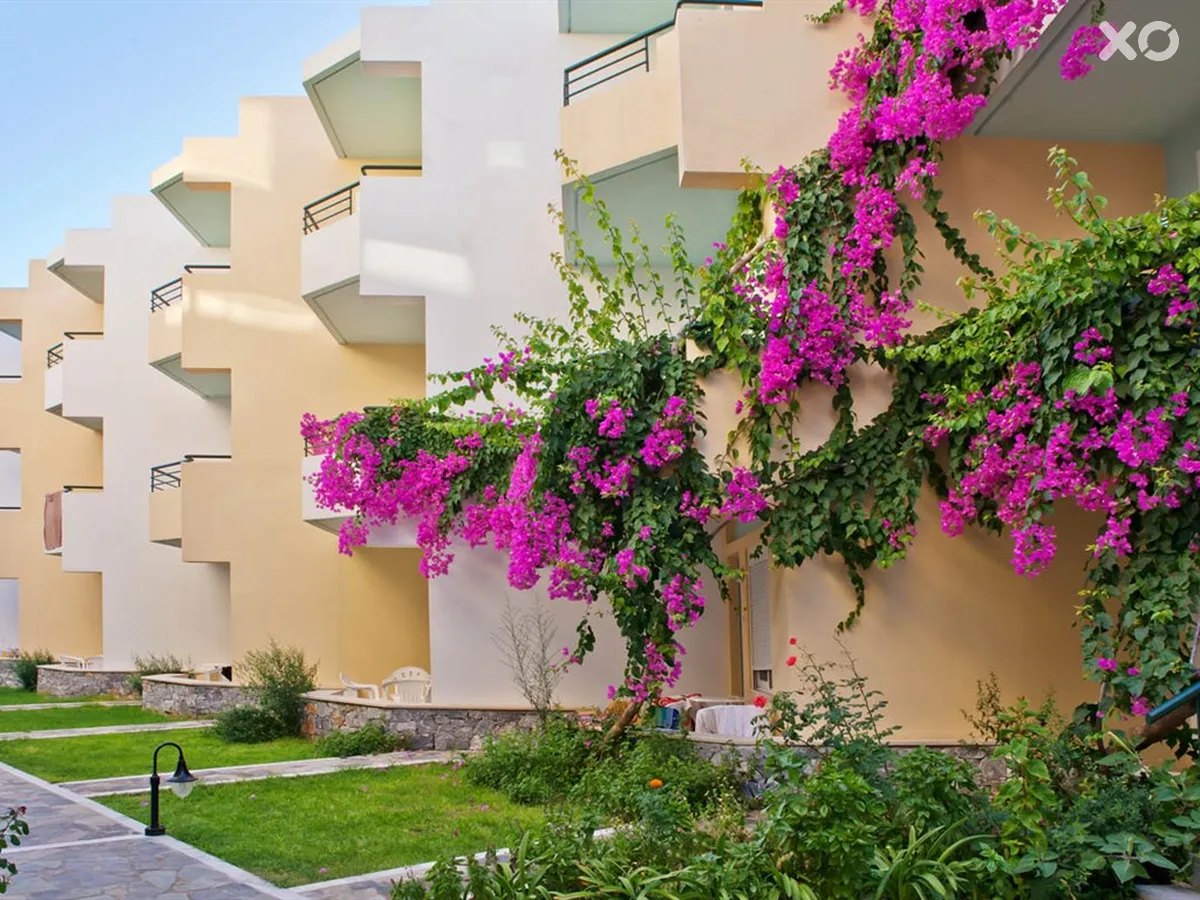 Dedalos Beach Hotel