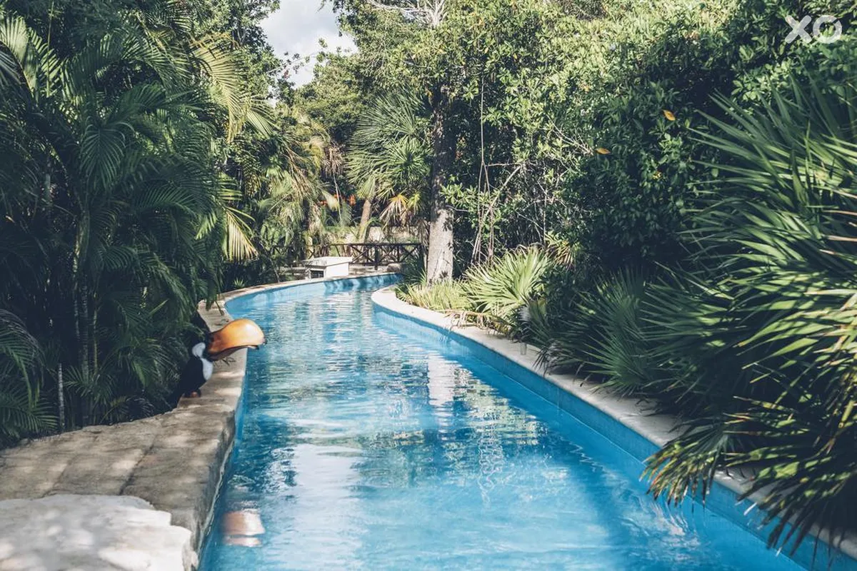 Iberostar Selection Paraiso Maya