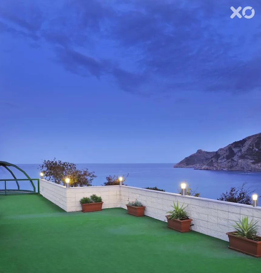 Kaktus Albir