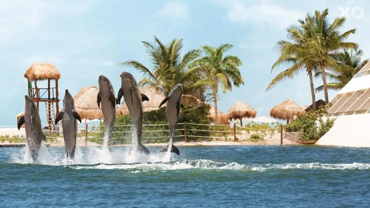 Hyatt Ziva Cancun