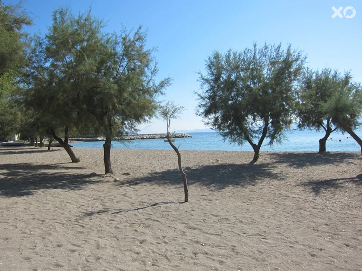 Neda Villa