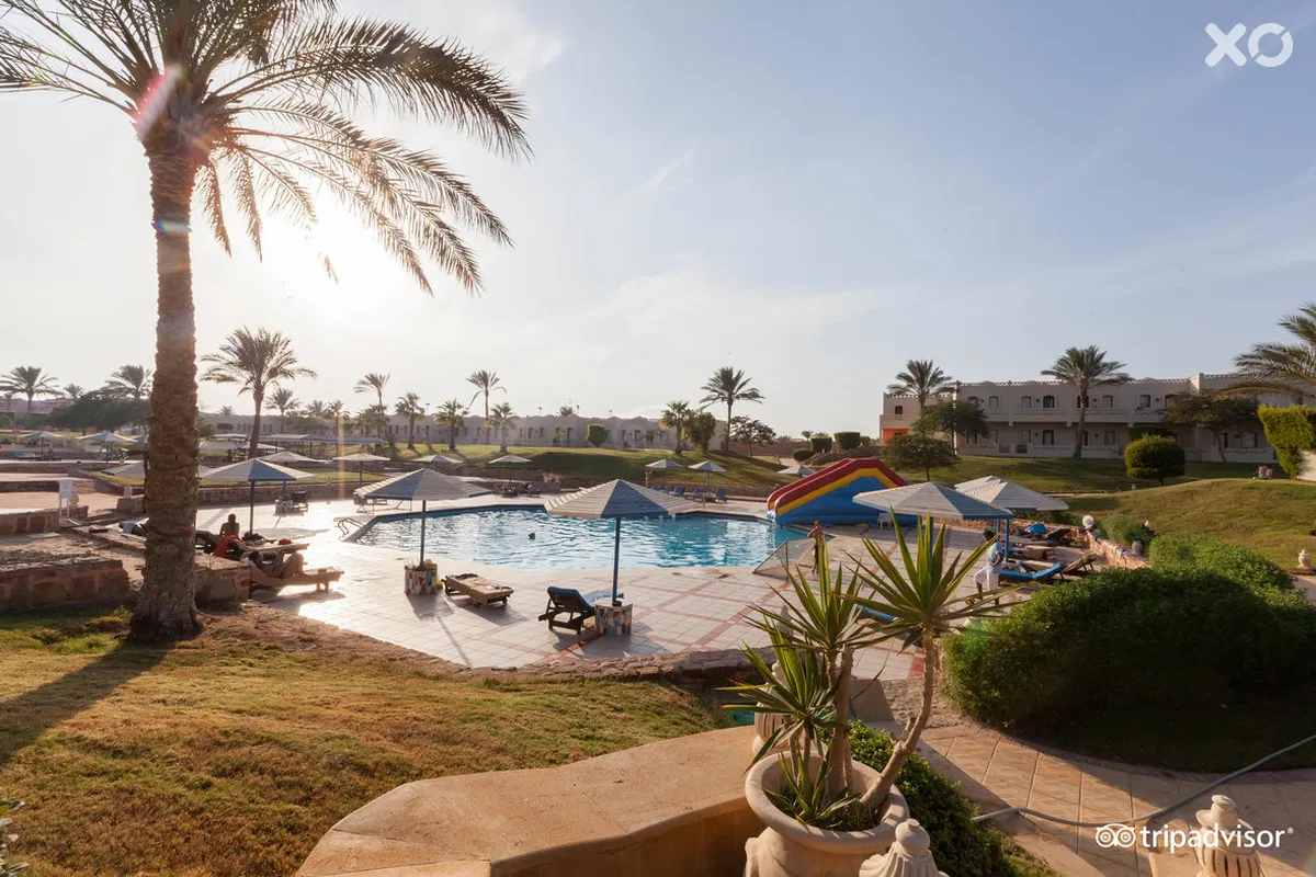 Solymar Reef Marsa