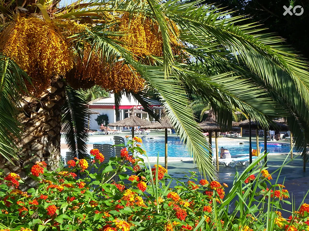 Albir Garden Resort